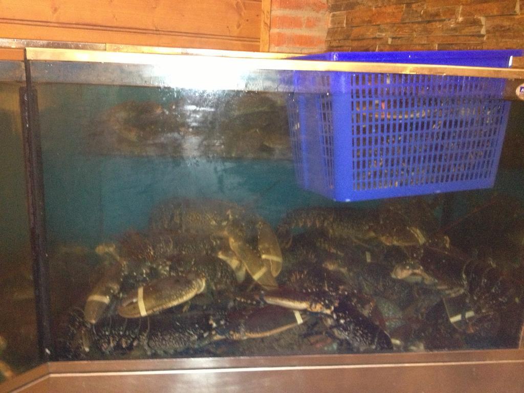 Isla Plana Hosteria San Emeterio מראה חיצוני תמונה